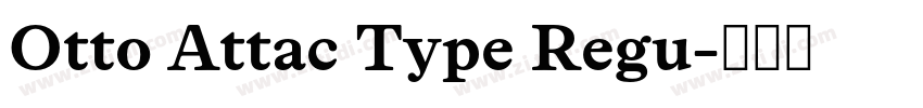 Otto Attac Type Regu字体转换